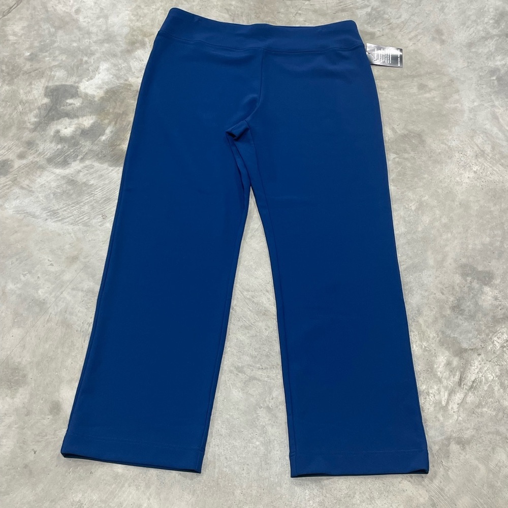 Boston Proper Womens blue pull on pants stretchy NWT size Large short petite